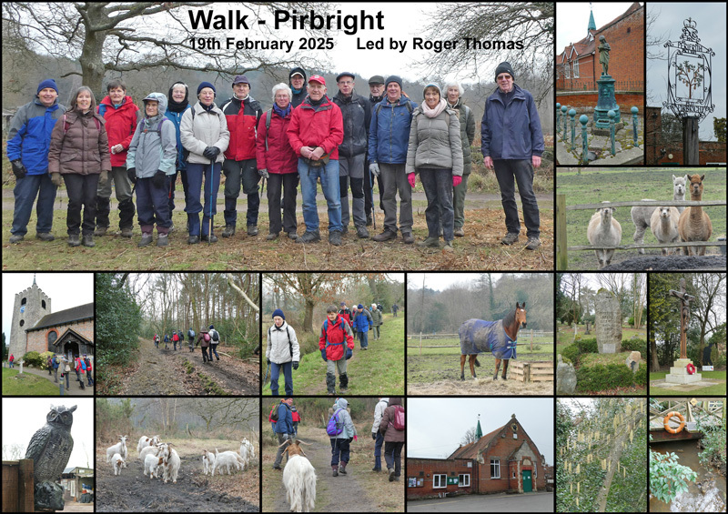 Walk - Pirbright - 19th February 2025